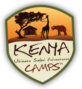 Kenya Camps Ultimate Safari Adventure!